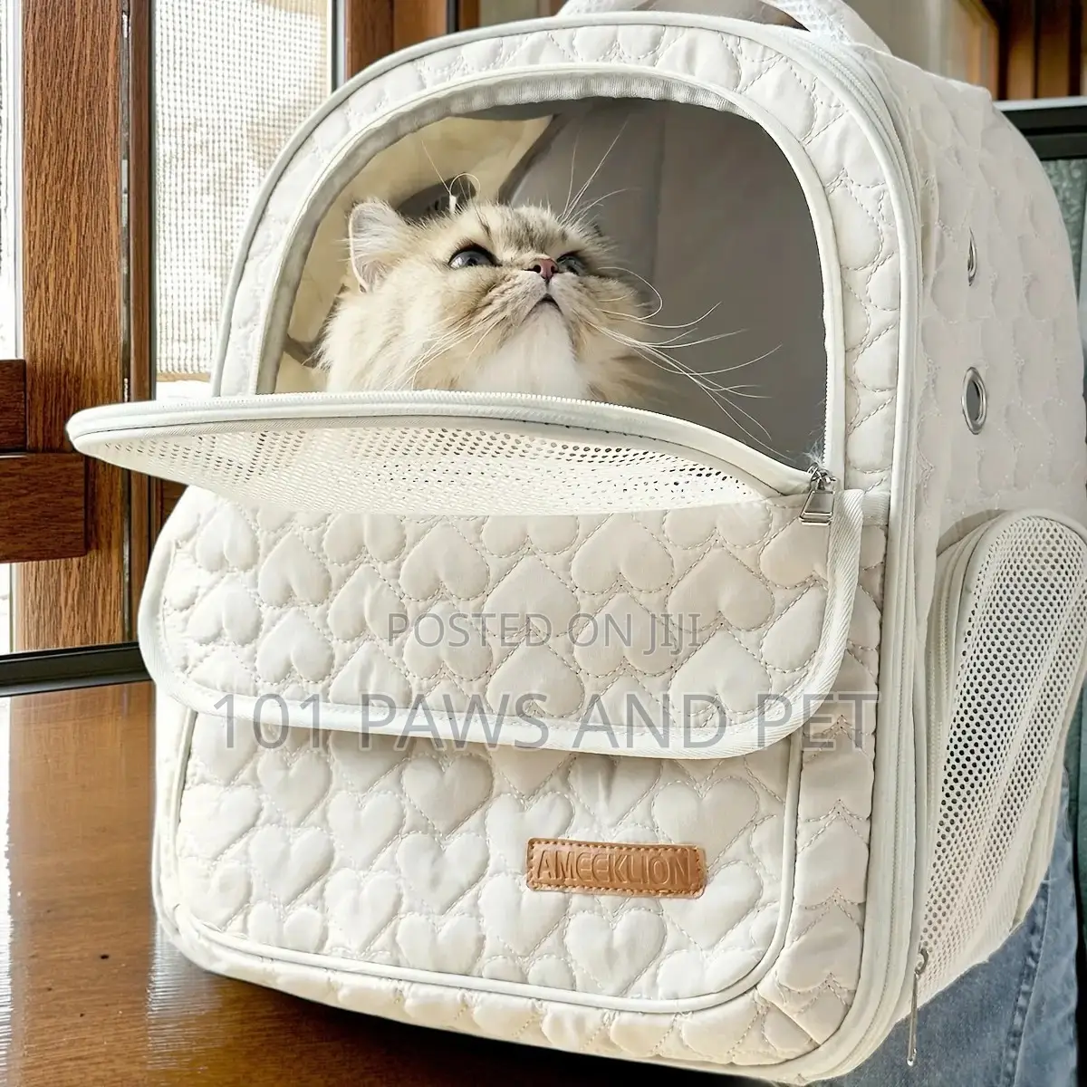 Foldable Carrier Bag for Cats and Pets