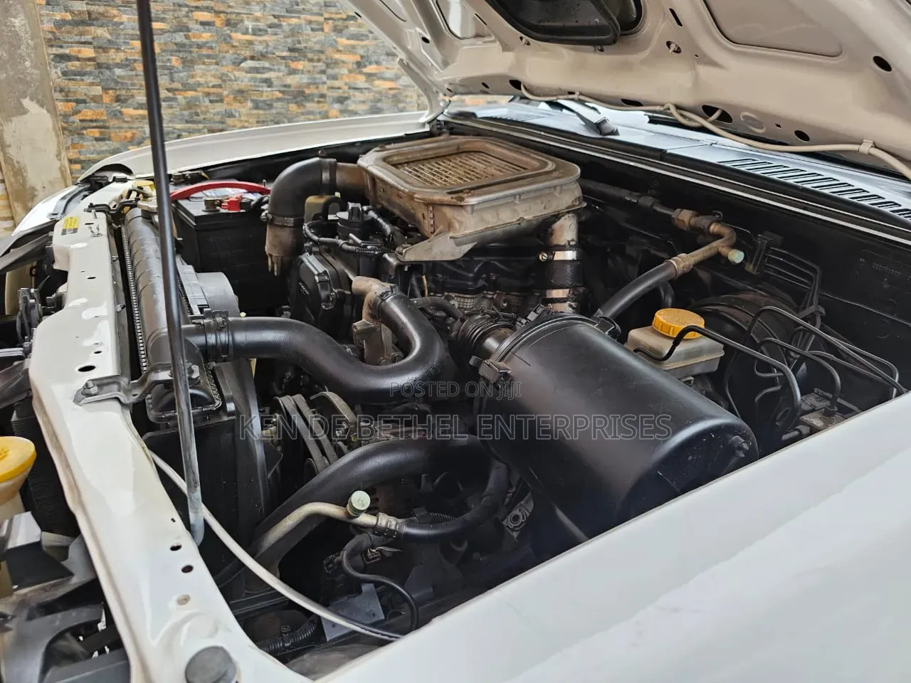 Nissan Hardbody 2021 White