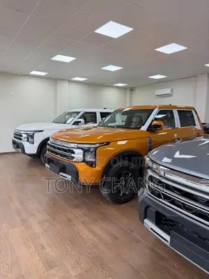 TikTok Car Sales Host (Female)