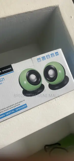 Computer Speaker