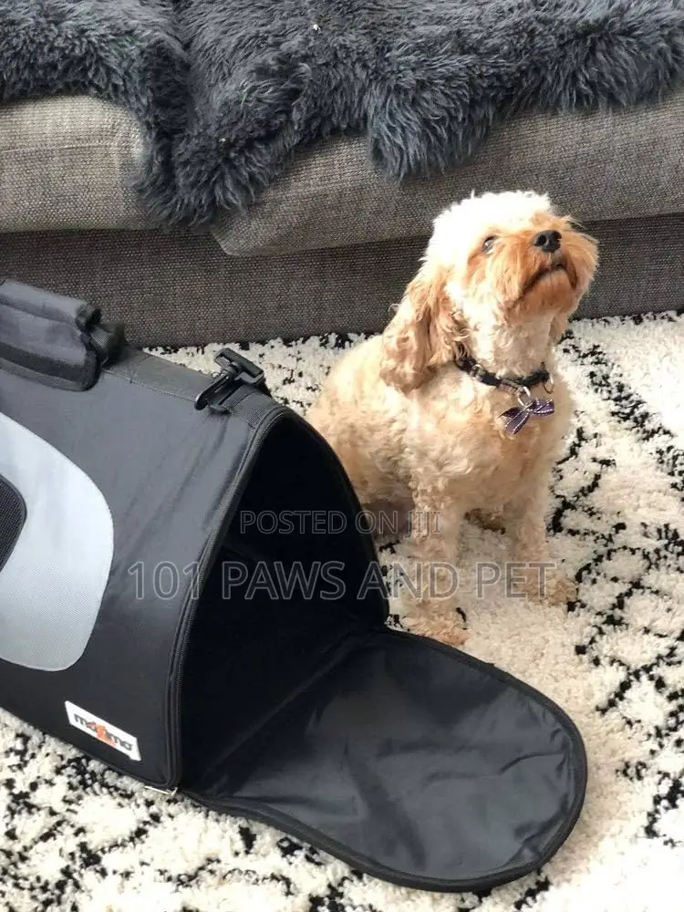 Maximo Pets Collapsible Pet Carrier