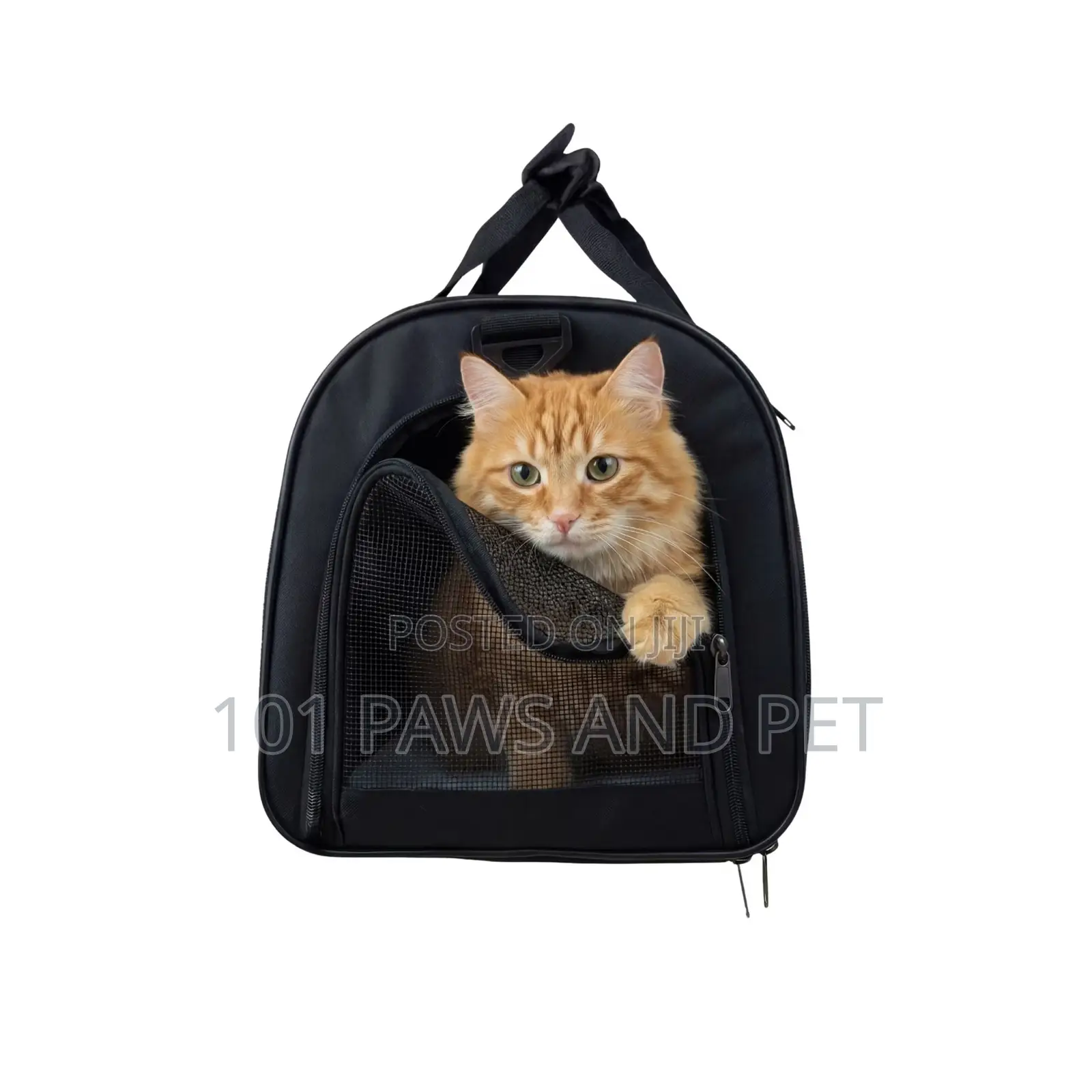 One Paw, Soft Carrier Bag, Small Pet Carrier