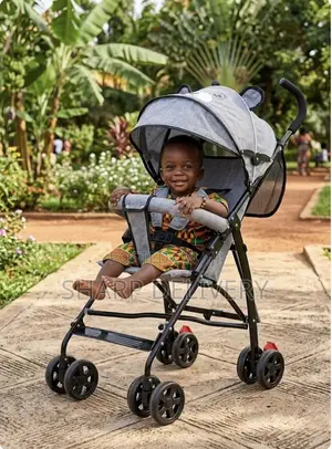 Extended Canopy Baby Stroller -