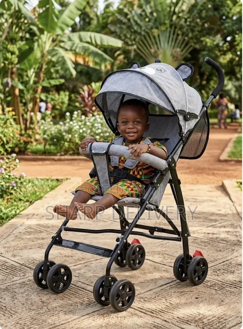 Extended Canopy Baby Stroller -