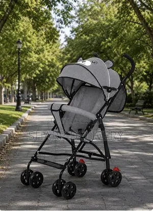 Extended Canopy Baby Stroller -