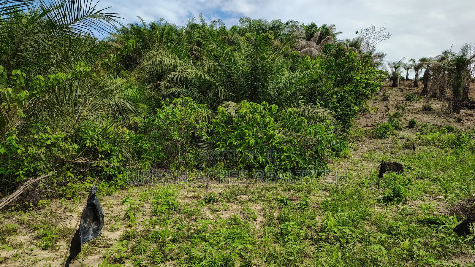 Western Region, (Ahanta District) _ Gold Concession