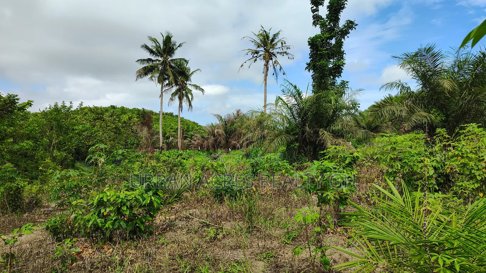 Western Region, (Ahanta District) _ Gold Concession