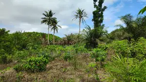 Western Region, (Ahanta District) _ Gold Concession