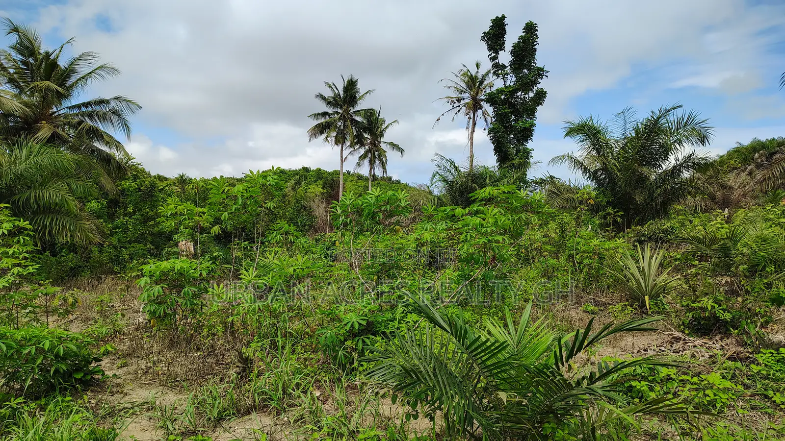 Western Region, (Ahanta District) _ Gold Concession