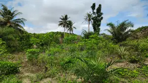 Western Region, (Ahanta District) _ Gold Concession