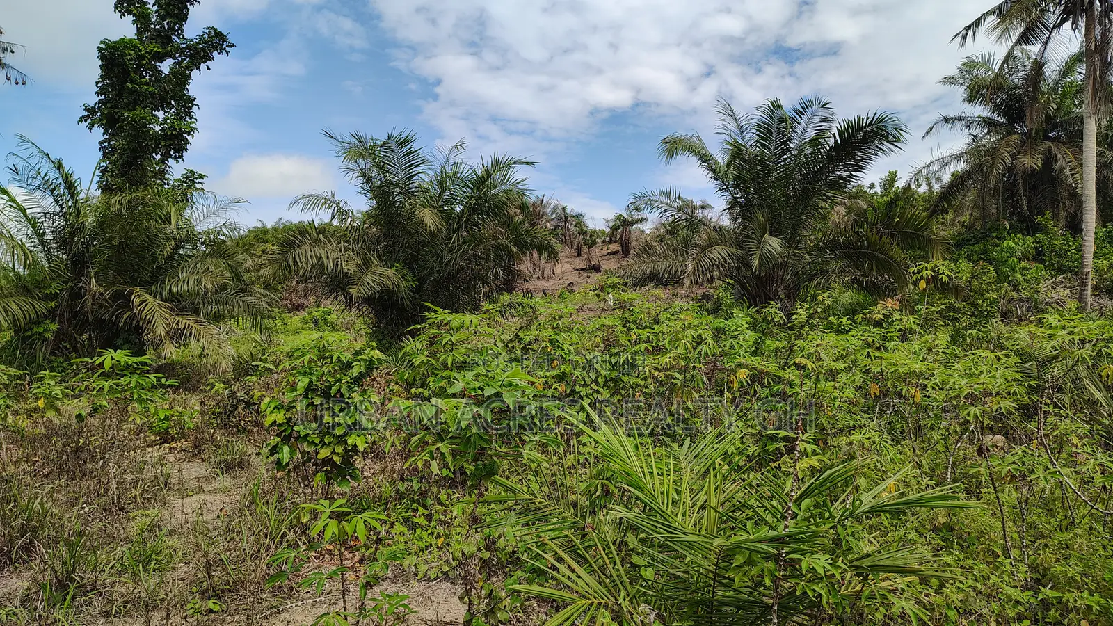 Western Region, (Ahanta District) _ Gold Concession