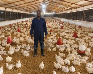 Poultry Farm Hand