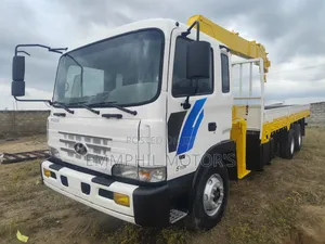 Heavy Duty Crane. Hyundai 12Ton 2015