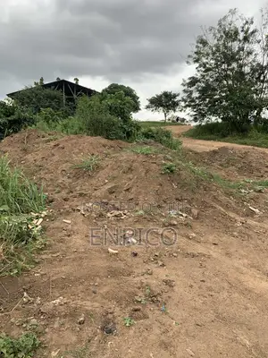 4 Acres Land for Rent