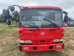 Hyundai Gold. Manual Engine. Full Airbrake System.