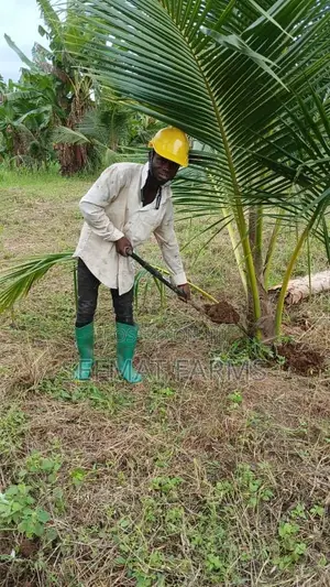 Farm Workers Wanted