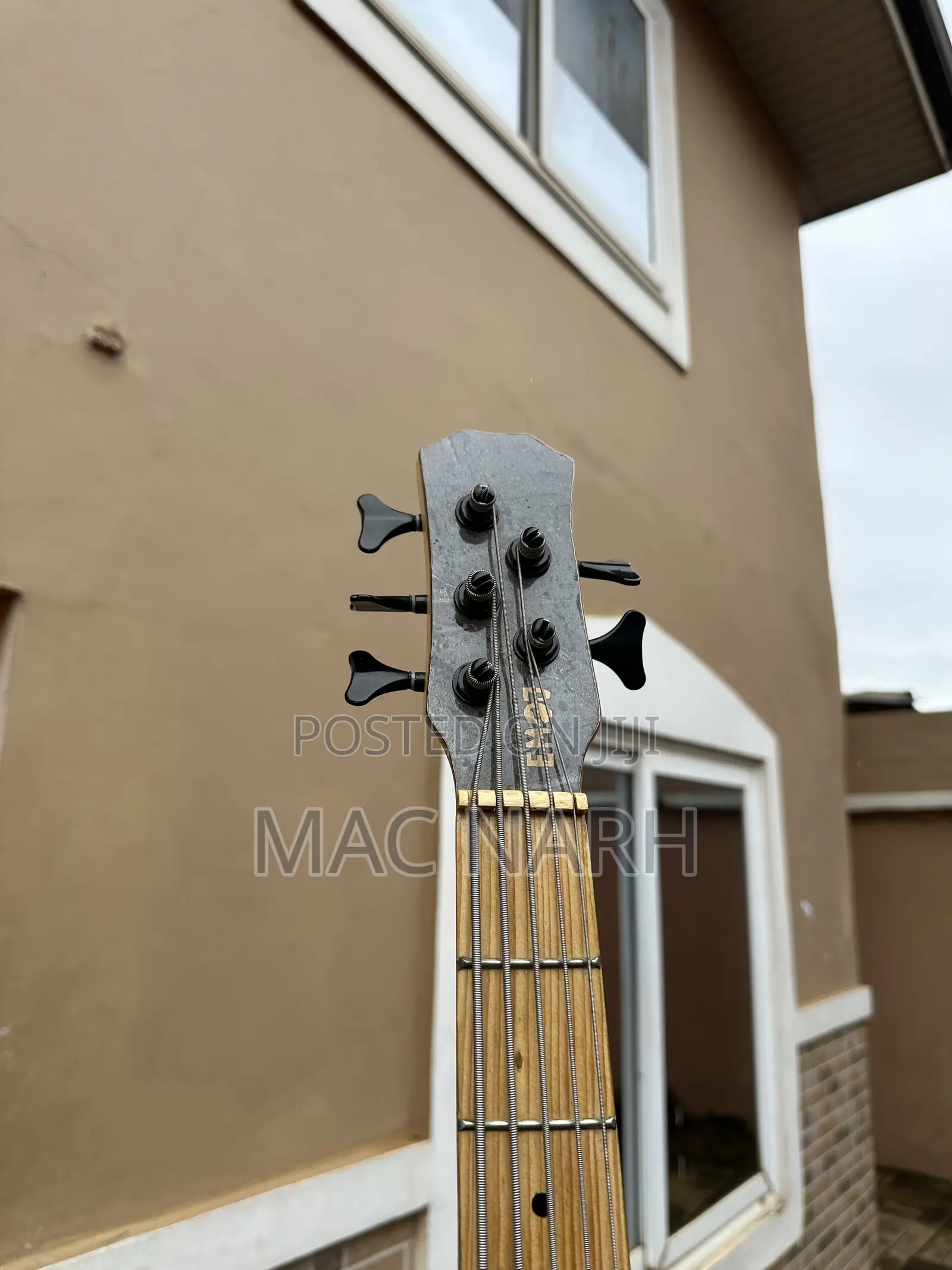 Bass Guitar (5 Strings) Semi-Acoustic