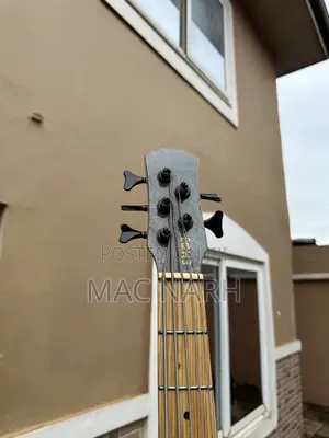 Bass Guitar (5 Strings) Semi-Acoustic