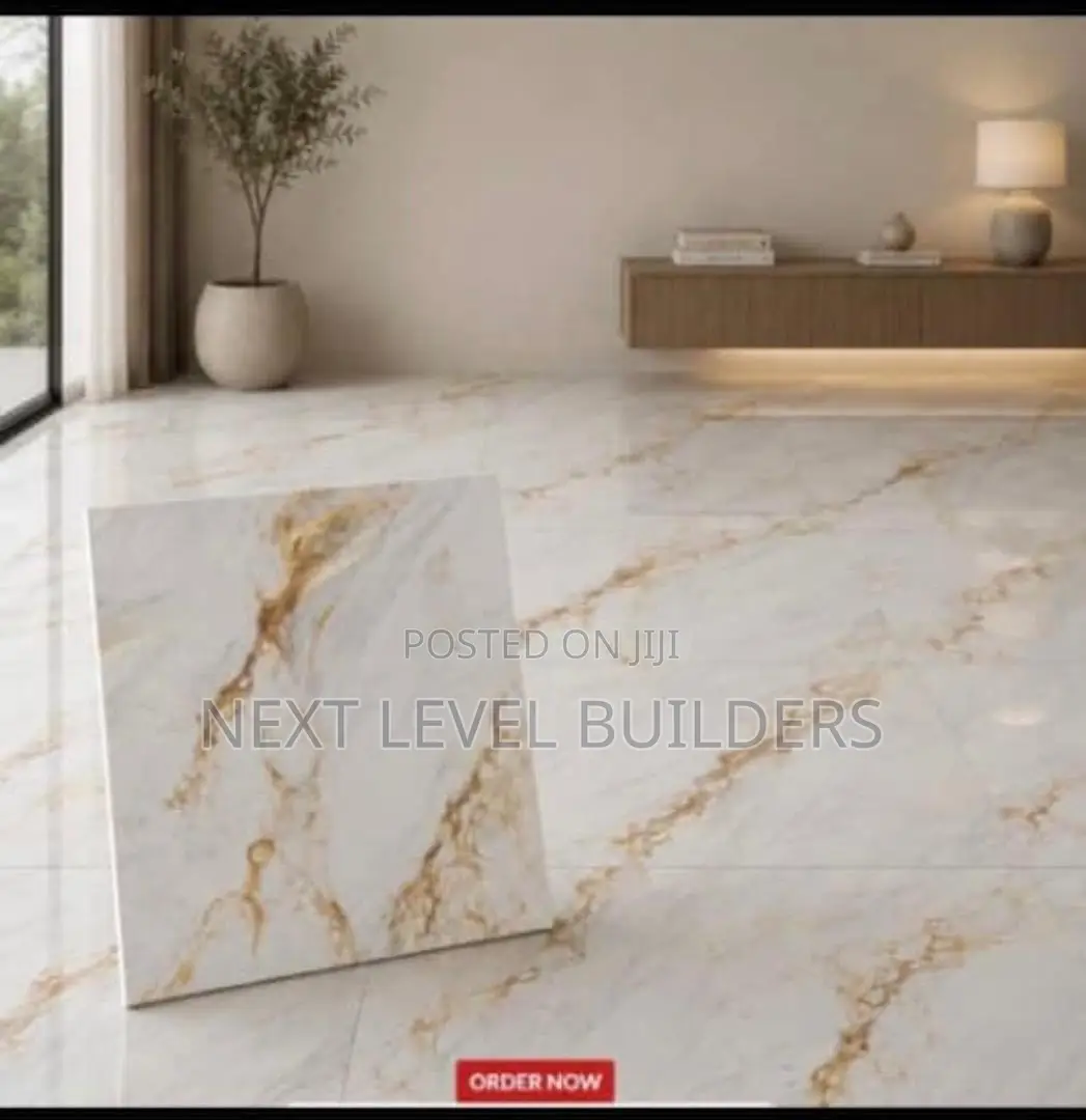 Next Level Premium 60 by 60 Floor Tiles for Sale.
