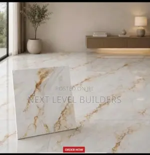 Next Level Premium 60 by 60 Floor Tiles for Sale.