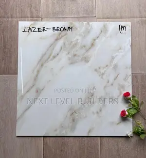 Next Level Premium 60 by 60 Floor Tiles for Sale.