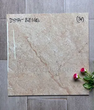 Next Level Premium 60 by 60 Floor Tiles for Sale.