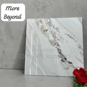 “Next Level Premium 60 by 60 Floor and Wall Tiles for Sale.”