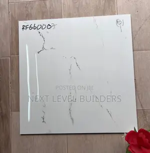 “Next Level Premium 60 by 60 Floor and Wall Tiles for Sale.”
