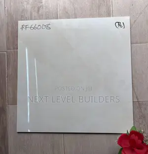 “Next Level Premium 60 by 60 Floor and Wall Tiles for Sale.”