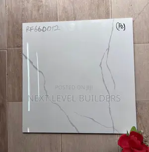 “Next Level Premium 60 by 60 Floor and Wall Tiles for Sale.”