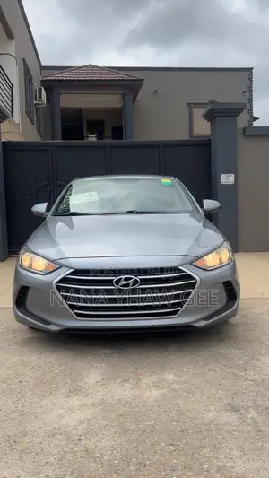 Hyundai Elantra ECO Sedan FWD (1.4L 4cyl 7A) 2017 Silver