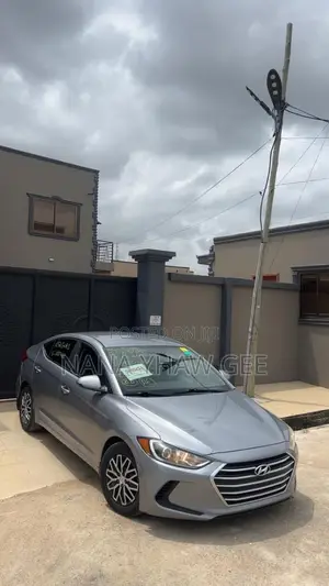 Hyundai Elantra ECO Sedan FWD (1.4L 4cyl 7A) 2017 Silver