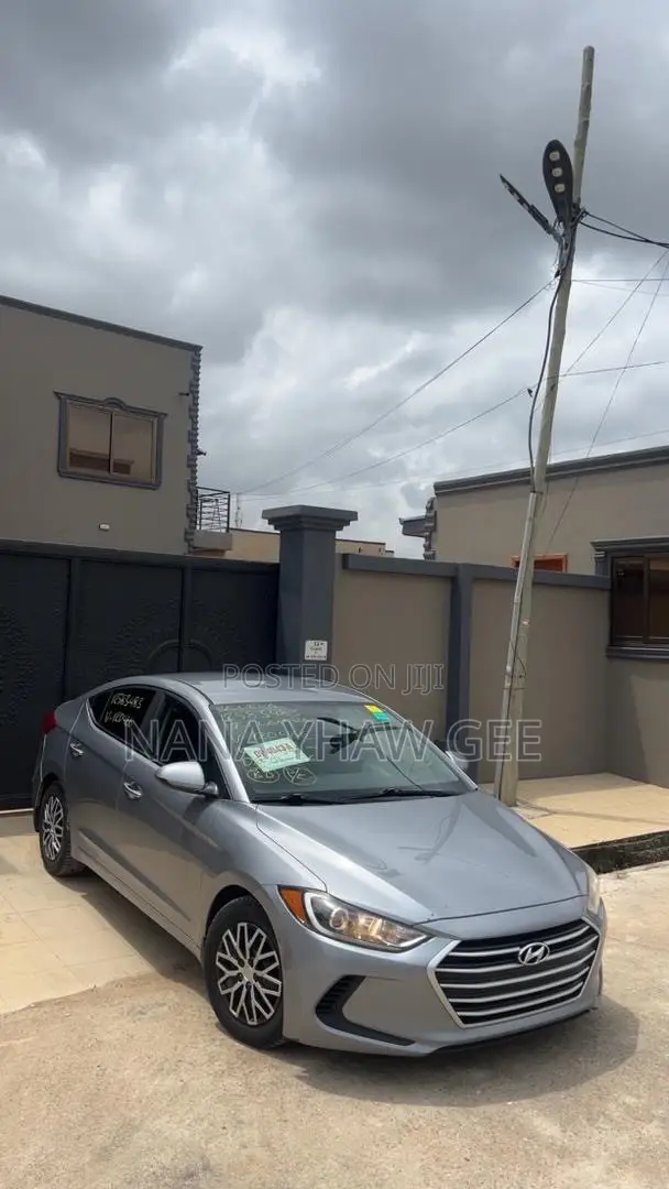 Hyundai Elantra ECO Sedan FWD (1.4L 4cyl 7A) 2017 Silver