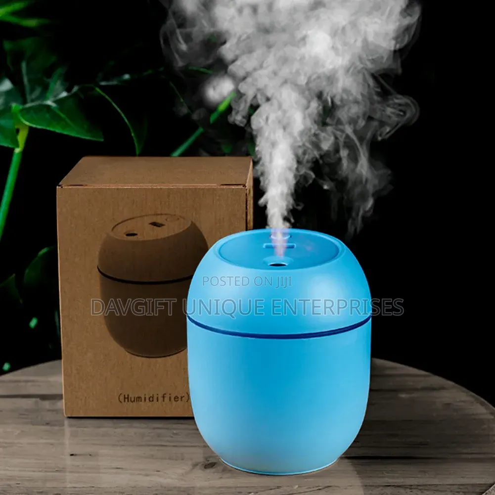 Cute Night Light Humidifier