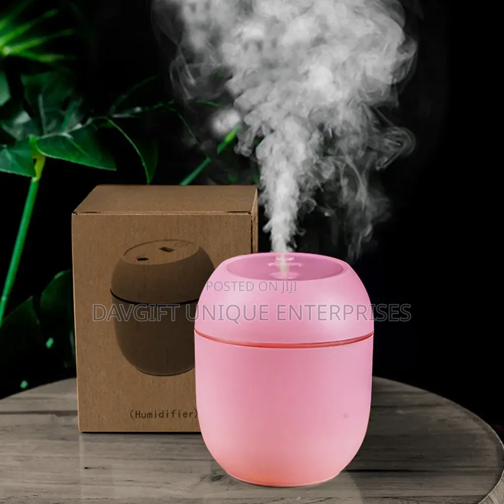 Cute Night Light Humidifier