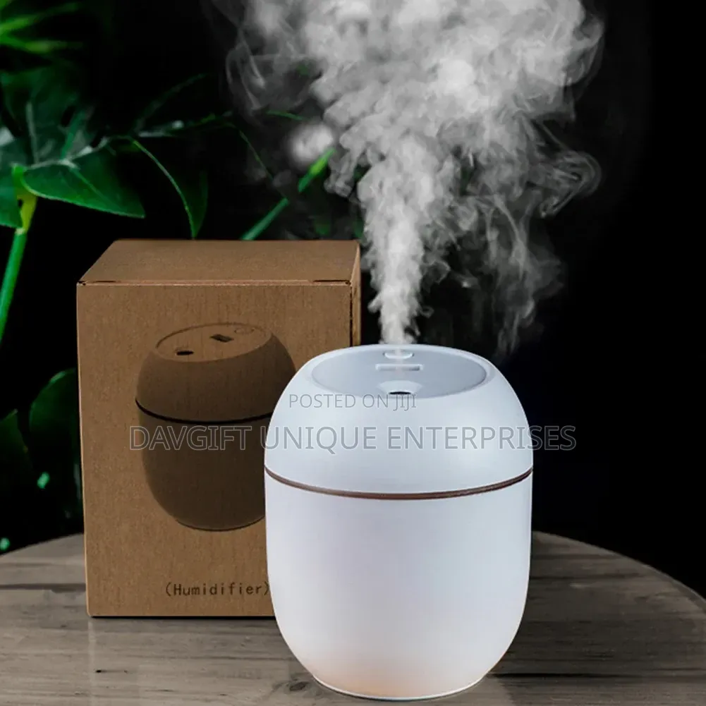 Cute Night Light Humidifier