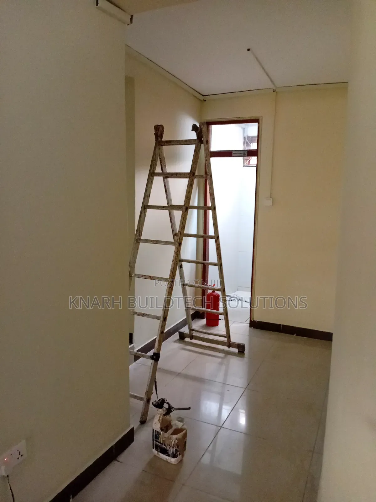 Professional Painter