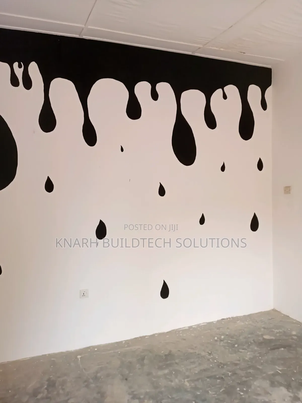 Professional Painter