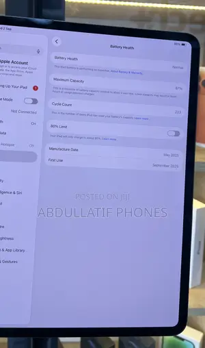 Apple iPad Pro 13 (2024) 256 GB Gray