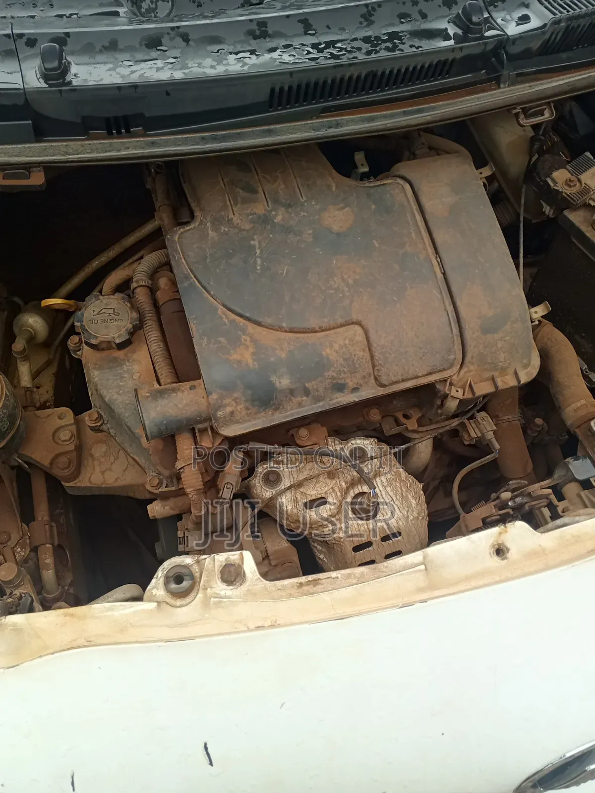 Toyota Vitz 2008 White