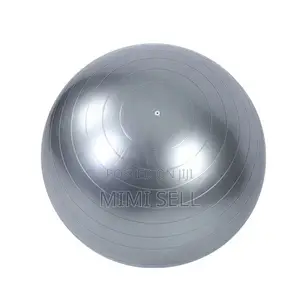 Gym Ball Exercise Workout