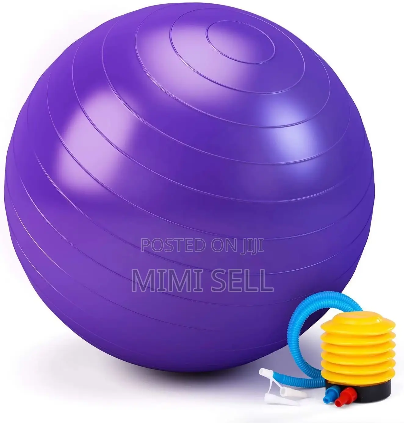 Gym Ball Exercise Workout