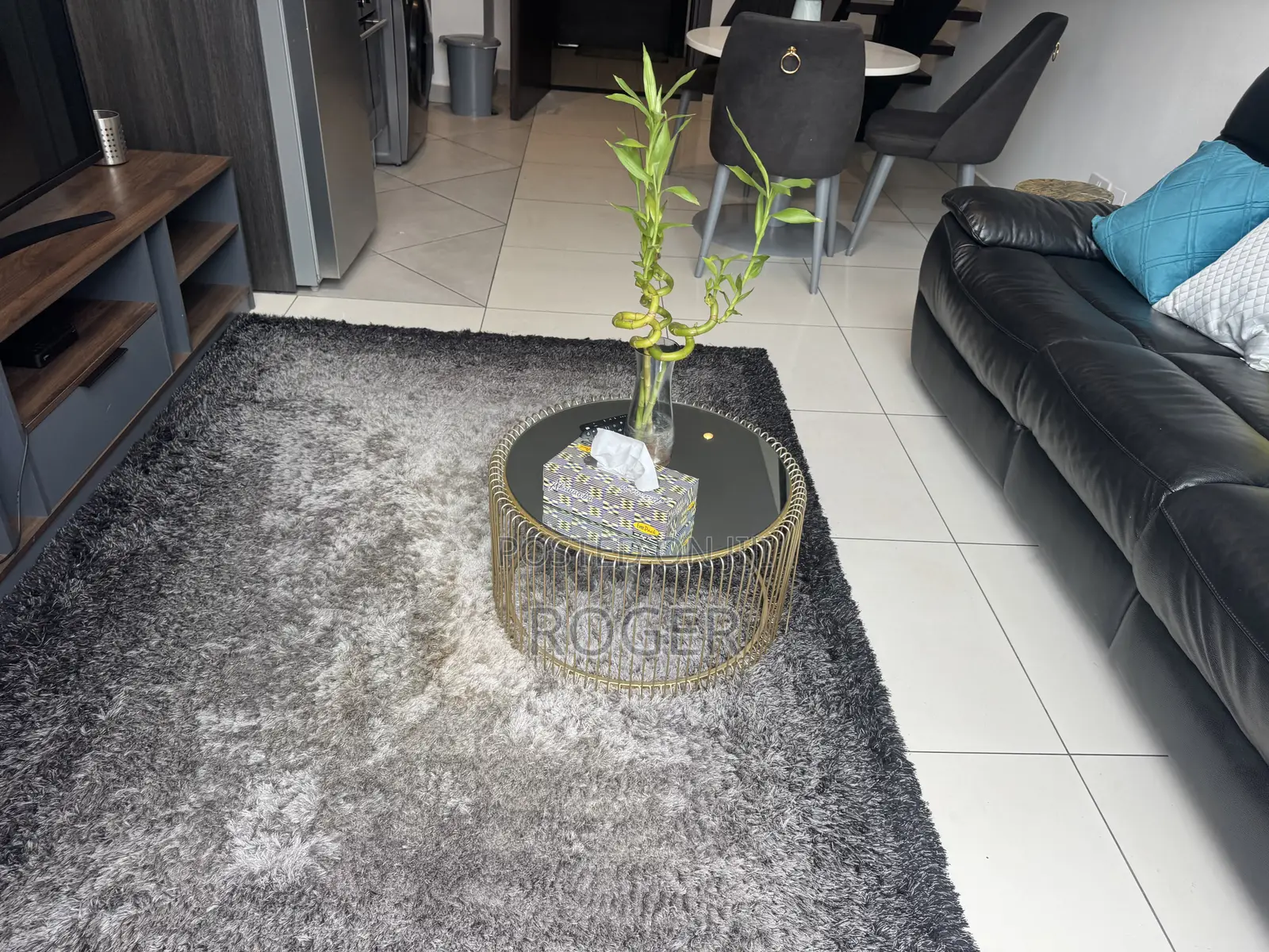 Furnished 1bdrm Apartment in Embassy Garden, Cantonments for rent