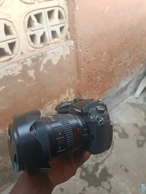 Lumix Gh5 With 24-105 Mm Lens