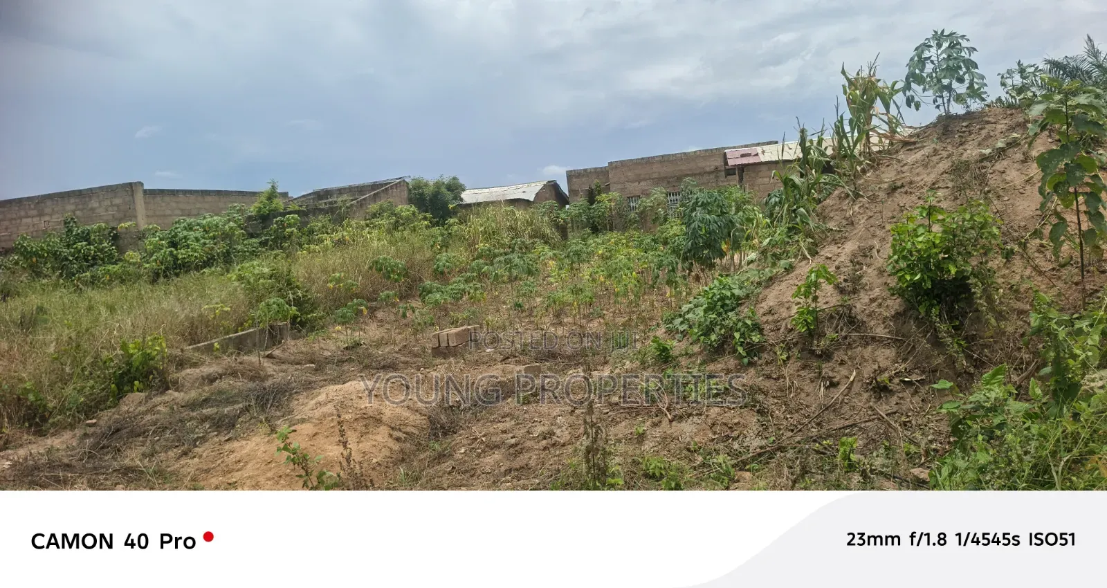 Half Plot 450 000