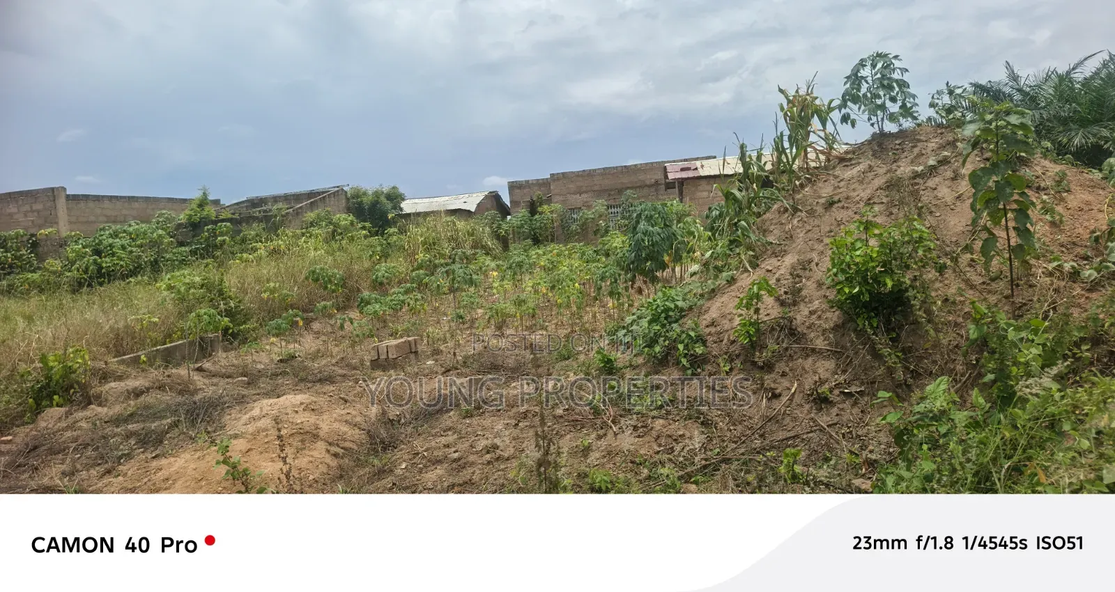 Half Plot 450 000