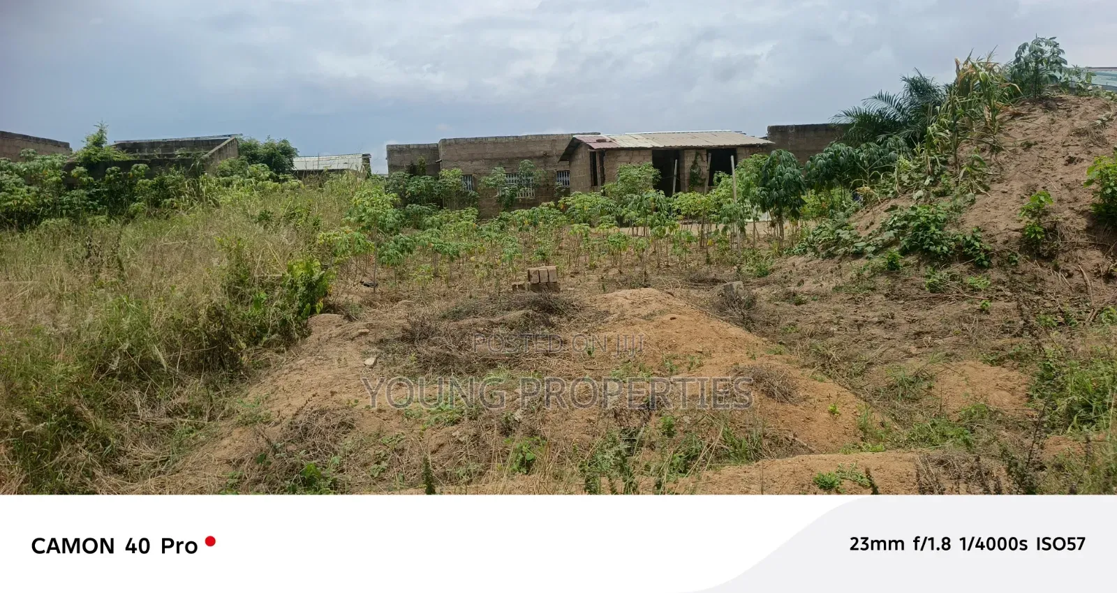 Half Plot 450 000