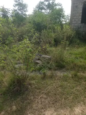LAND or HOUSE for Sale.