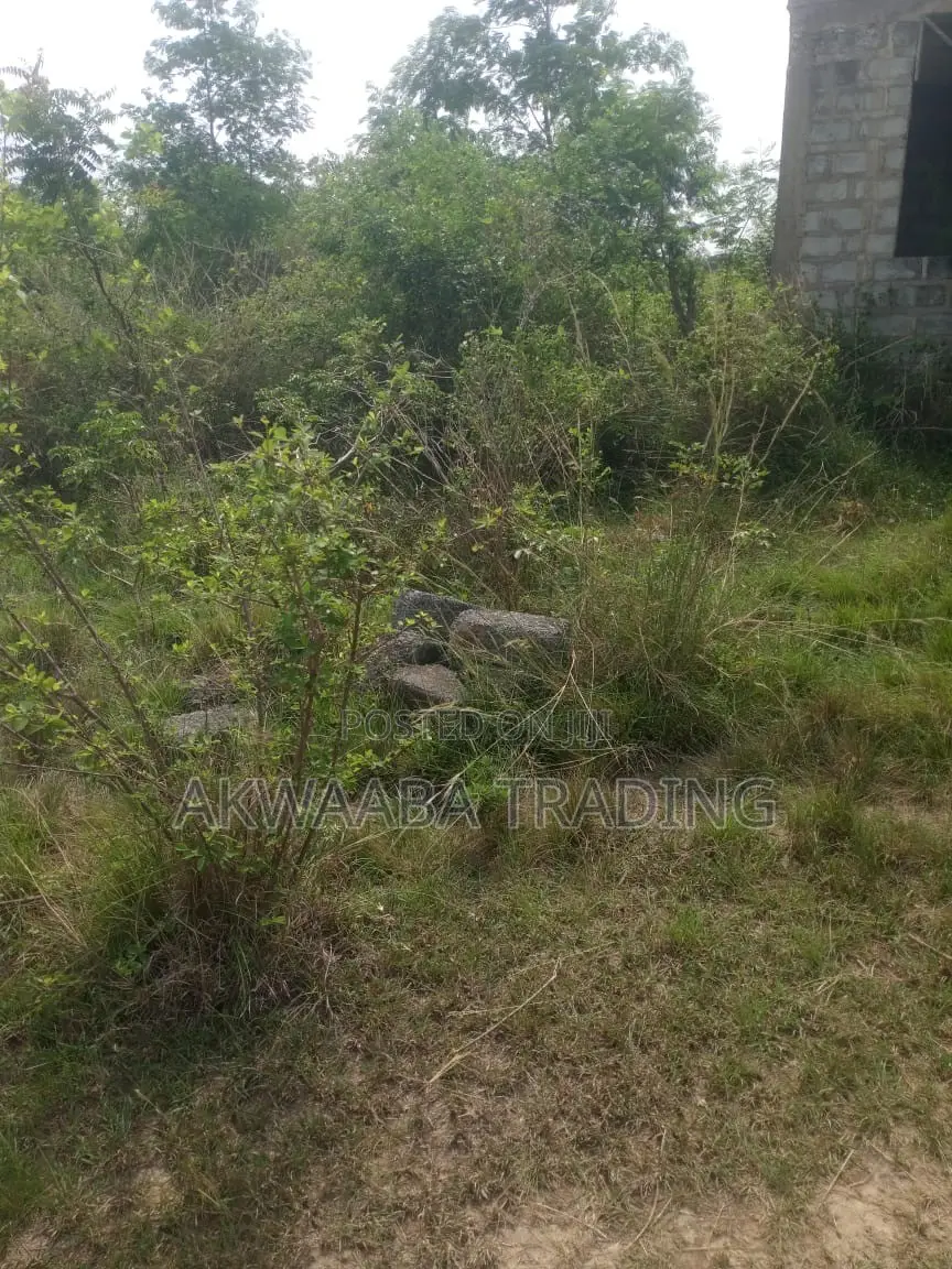LAND or HOUSE for Sale.