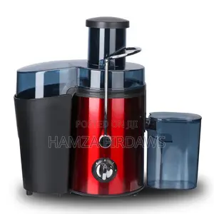 Fruit Juicer